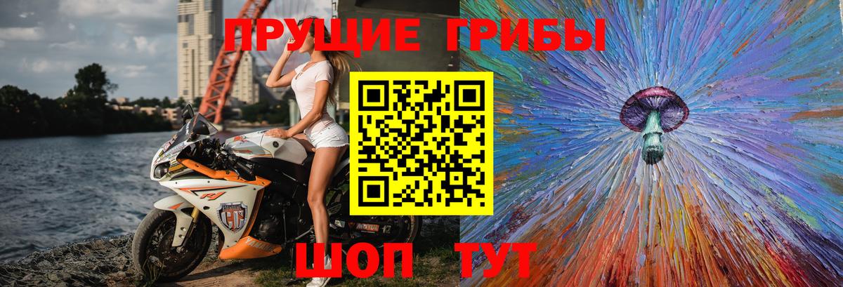 Галлюциногенные грибы мицелий  Вход с VPN  Белореченск  Псилоцибиновые грибы прущие грибы 